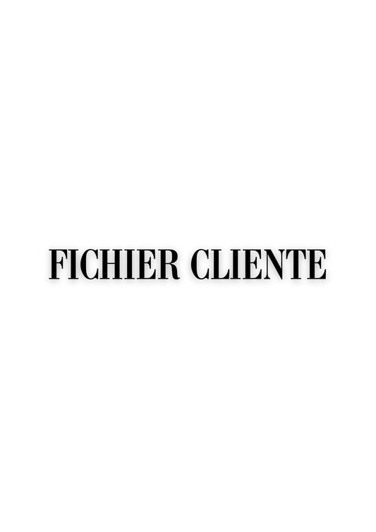 Fichier Cliente Lash Artist - Version Interactive & Personnalisable